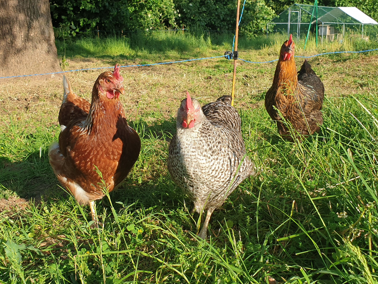GreenGo Gîte Pays de la Loire À la campagne