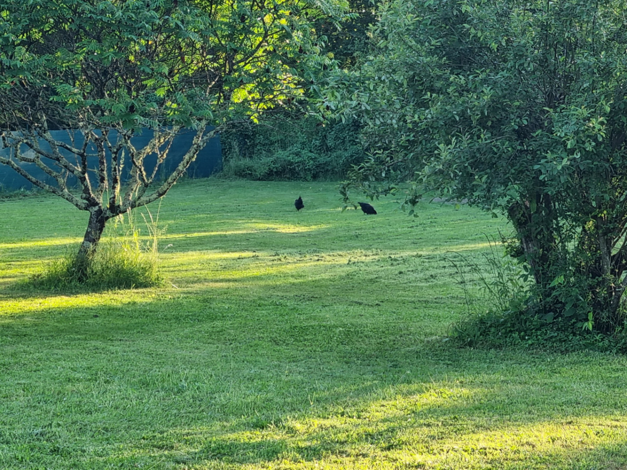  Lot-et-Garonne Romantique