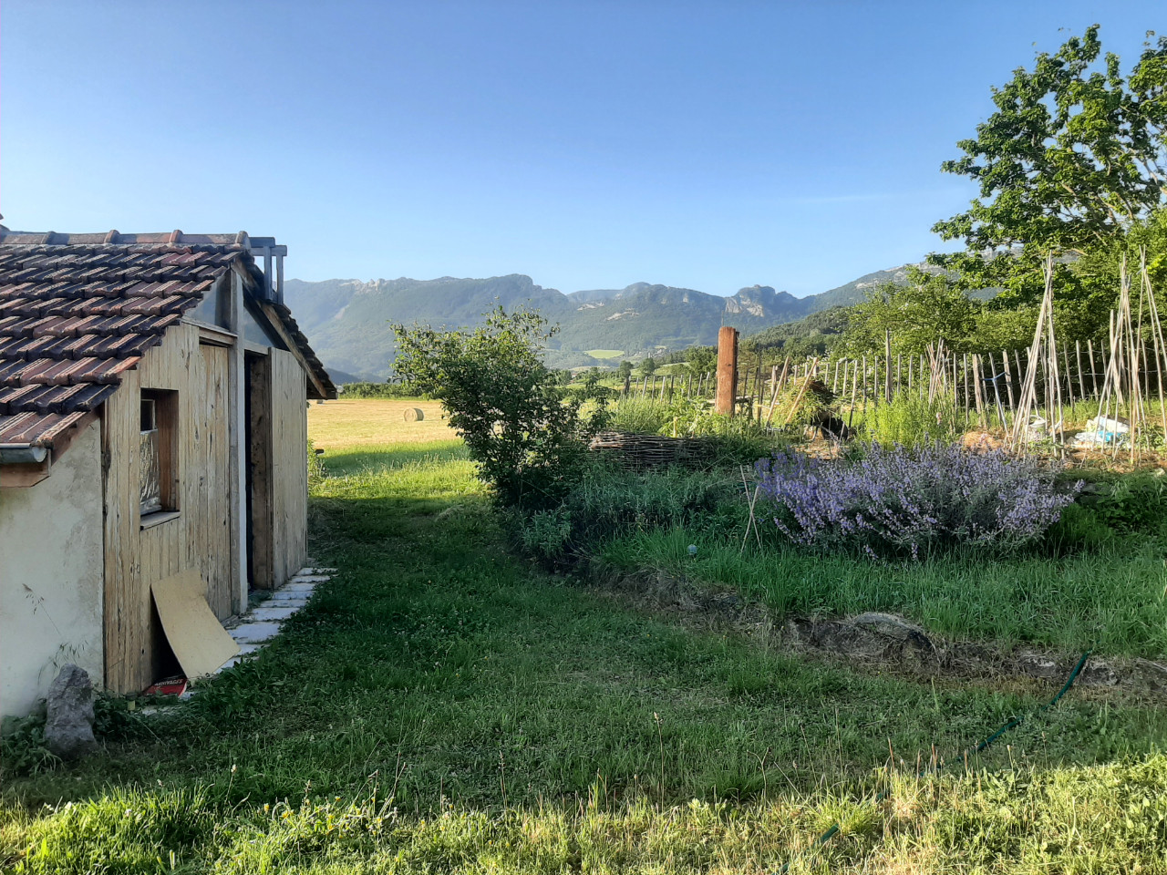 orderedImageAlt_accommodation_default