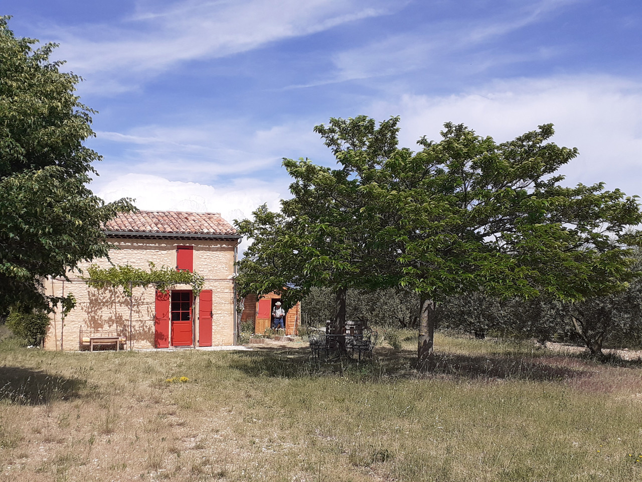 Cabanon éco-rustique au milieu des lavandes et des oliviers
