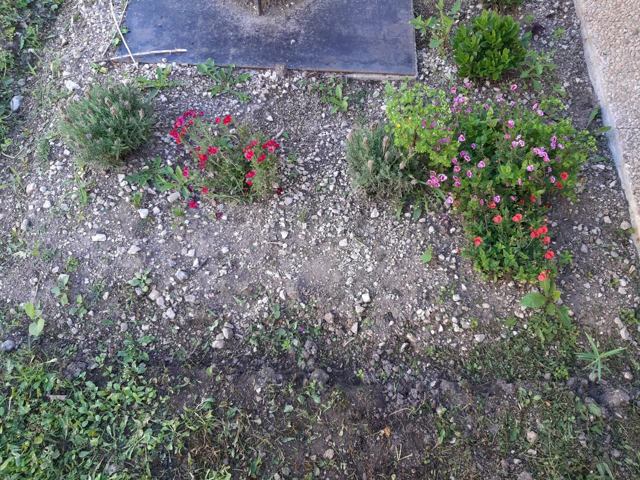 Charente À la campagne