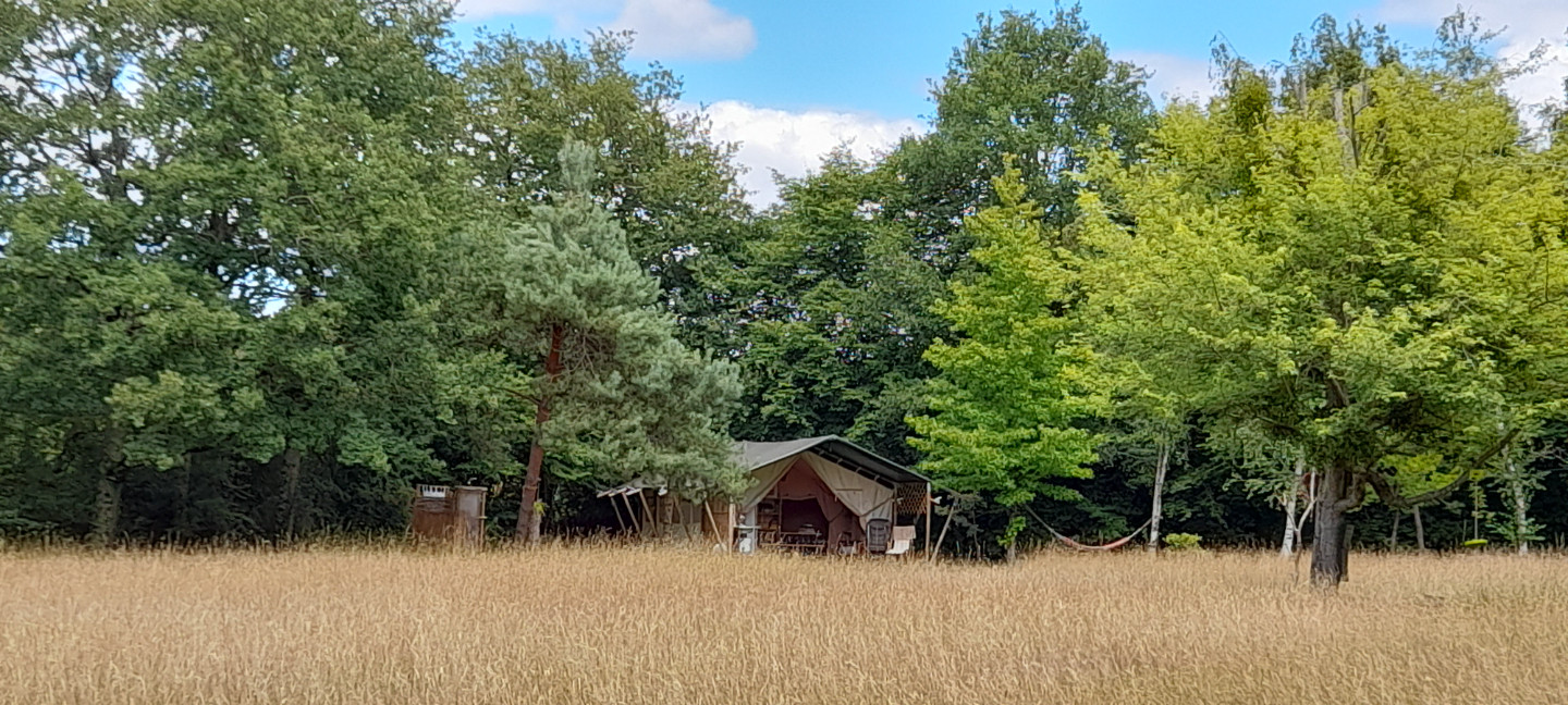 GreenGo La sauvageonne