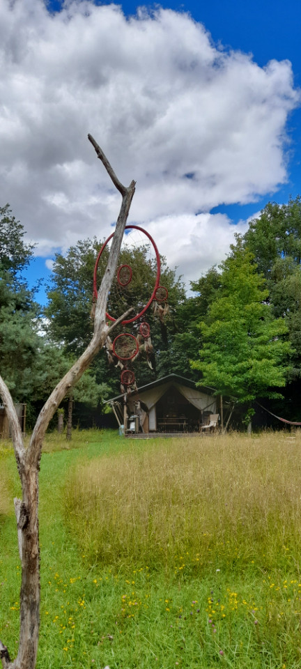 GreenGo Logement insolite Auvergne-Rhône-Alpes Évasion