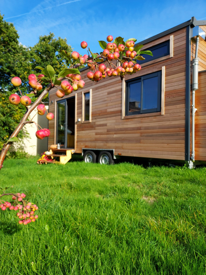 Poule House