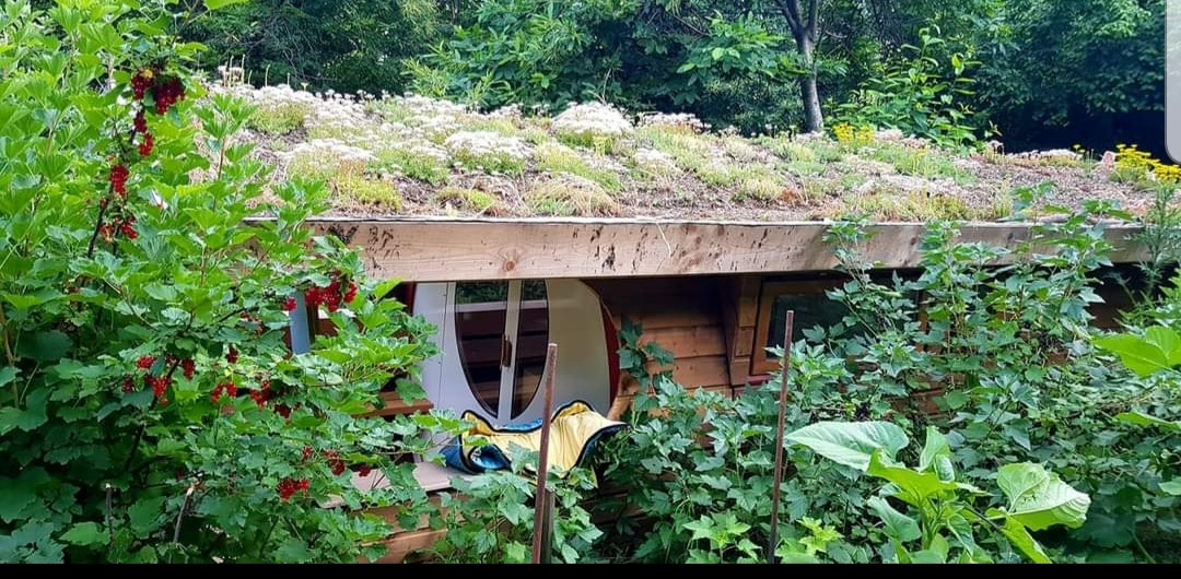GreenGo Logement insolite Auvergne-Rhône-Alpes Glamping