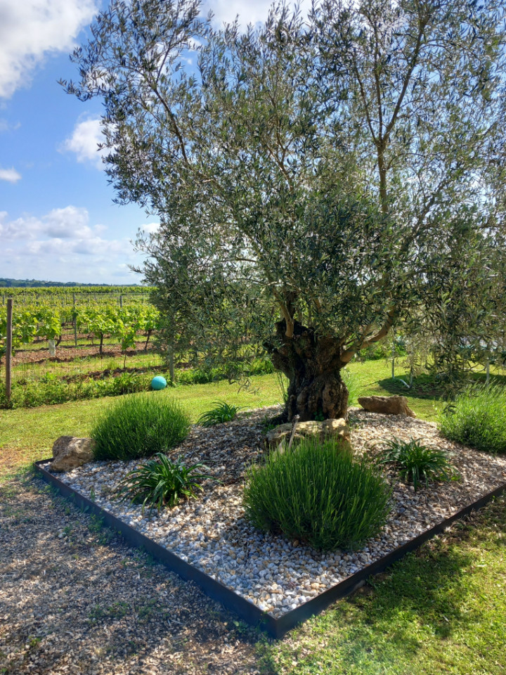 GreenGo Gîte Nouvelle-Aquitaine À la campagne