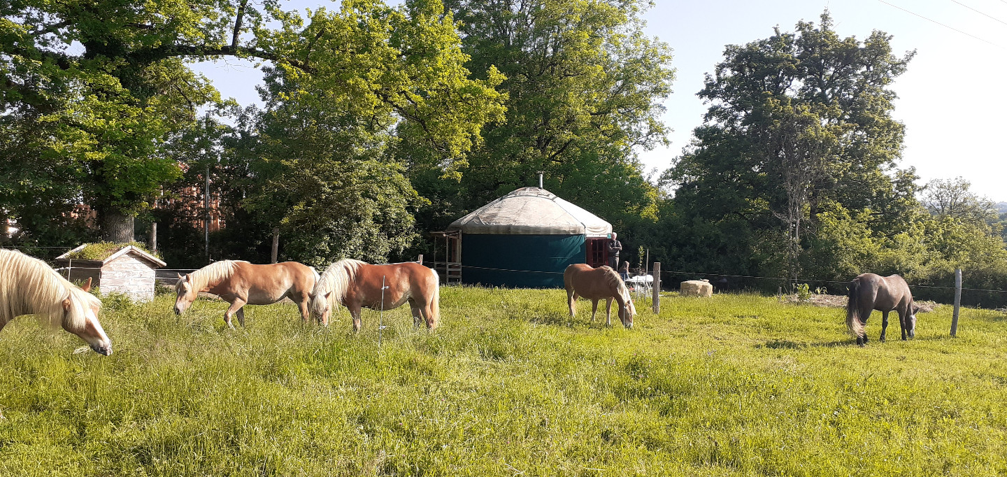 La Jumenterie du Pech Blanc