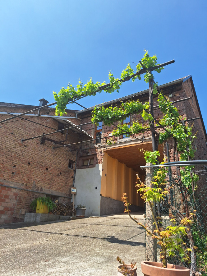 GreenGo L'horizon du vignoble