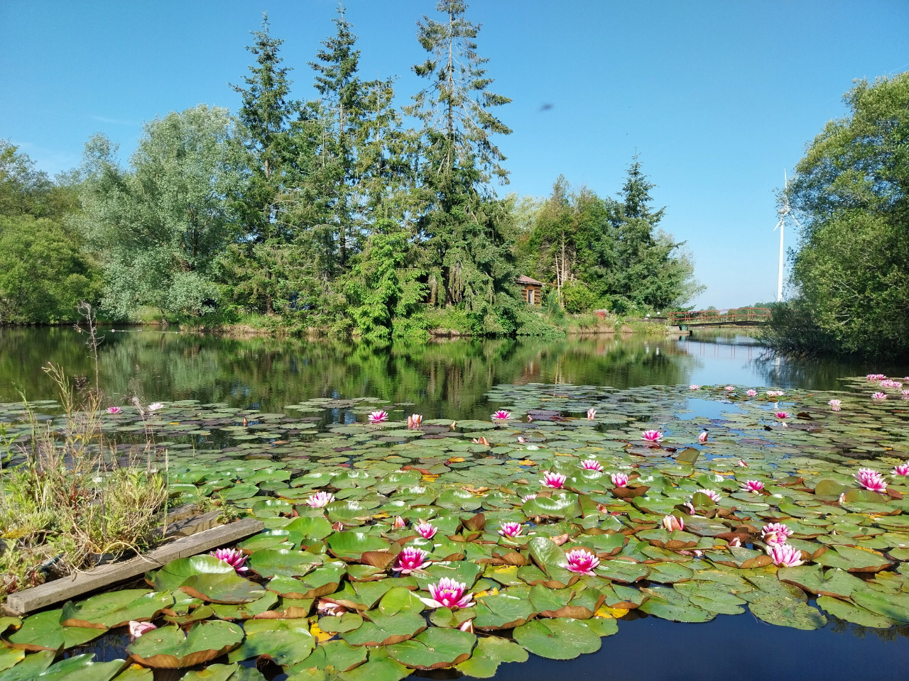 Cabane de Charme sur son île