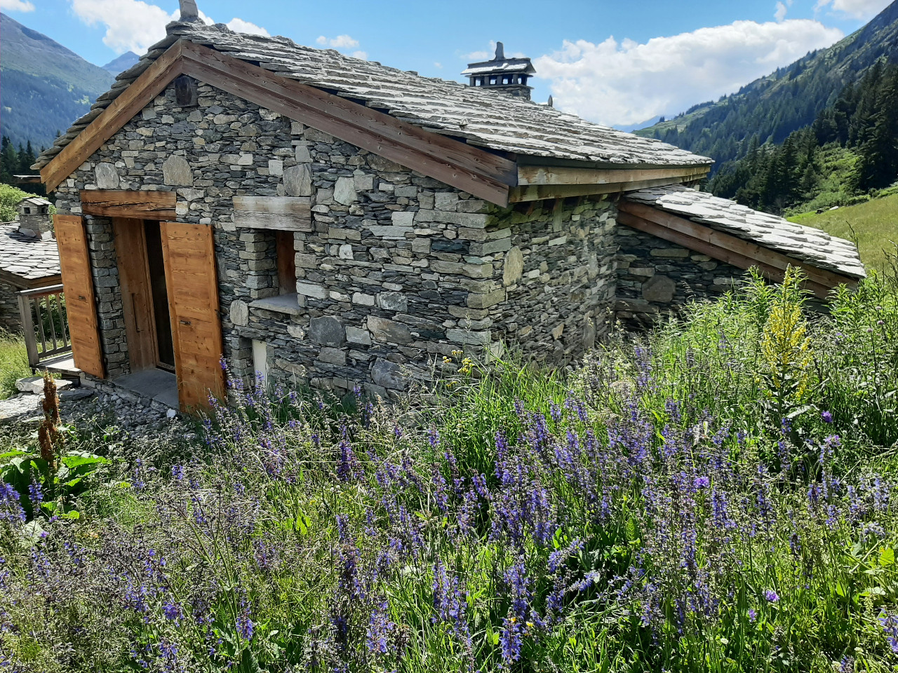 Hôte GreenGo: Chalet d'Alpage au cœur de la Haute Maurienne Vanoise - le Collet