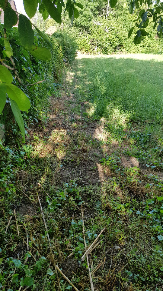 Haute-Saône À la campagne