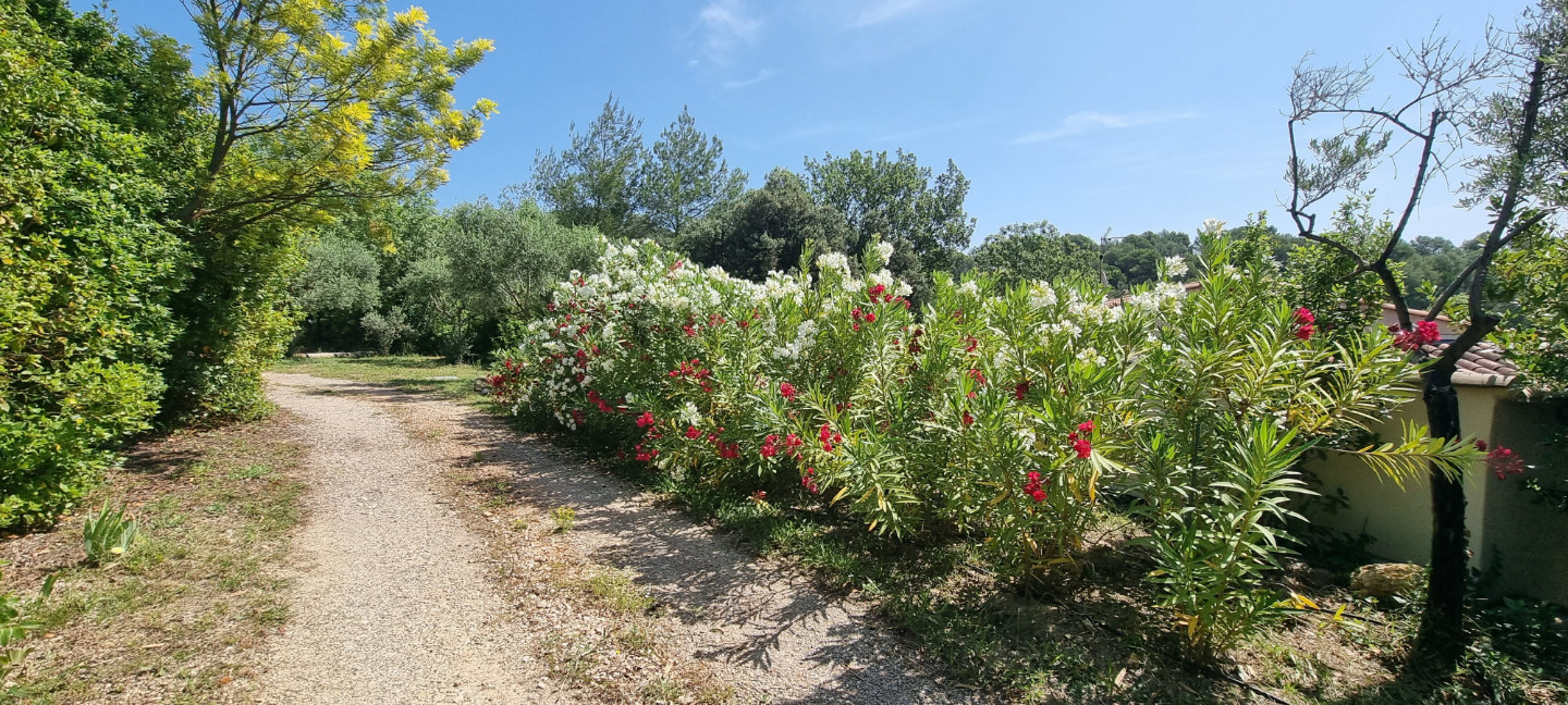 GreenGo location vacances écoresponsables