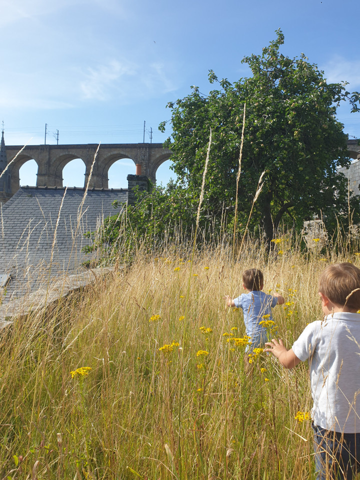 Logement GreenGo: La Luce, grande maison familiale en centre-ville de Morlaix (bretagne Nord).