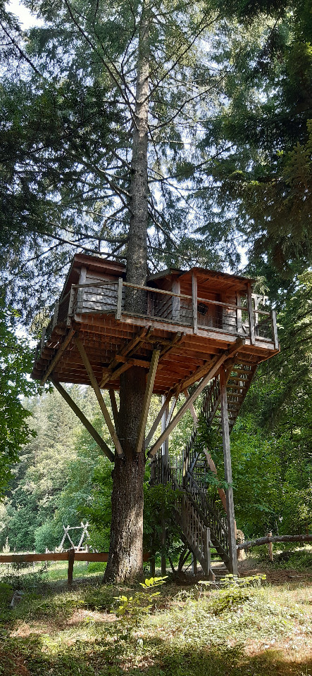 Logement GreenGo: Cabane Hérisson