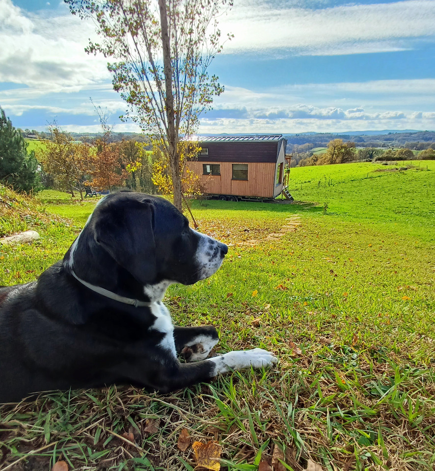 GreenGo Logement insolite Nouvelle-Aquitaine À la campagne