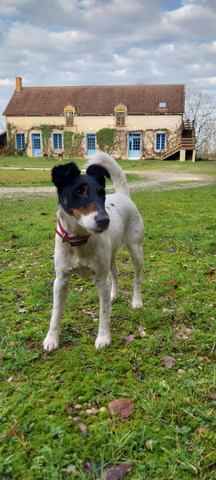 GreenGo Gîte Centre-Val de Loire Évasion