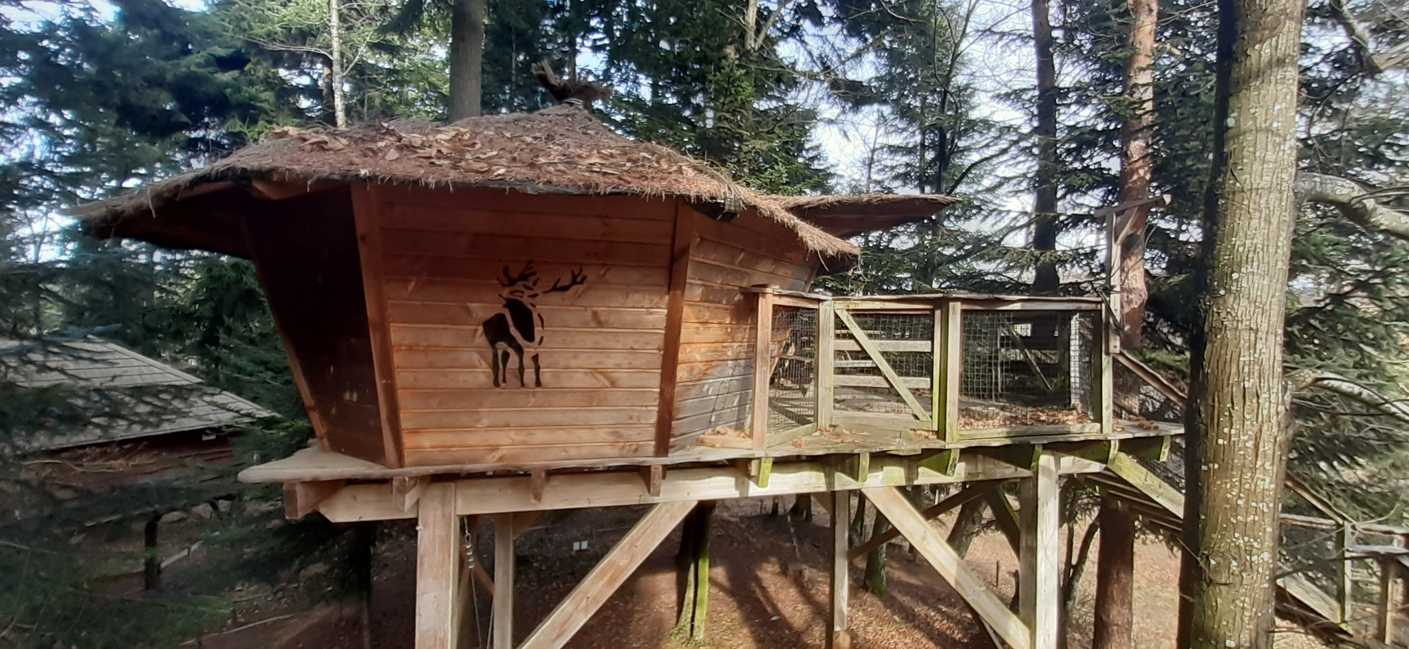 Logement GreenGo: Cabane Cerf