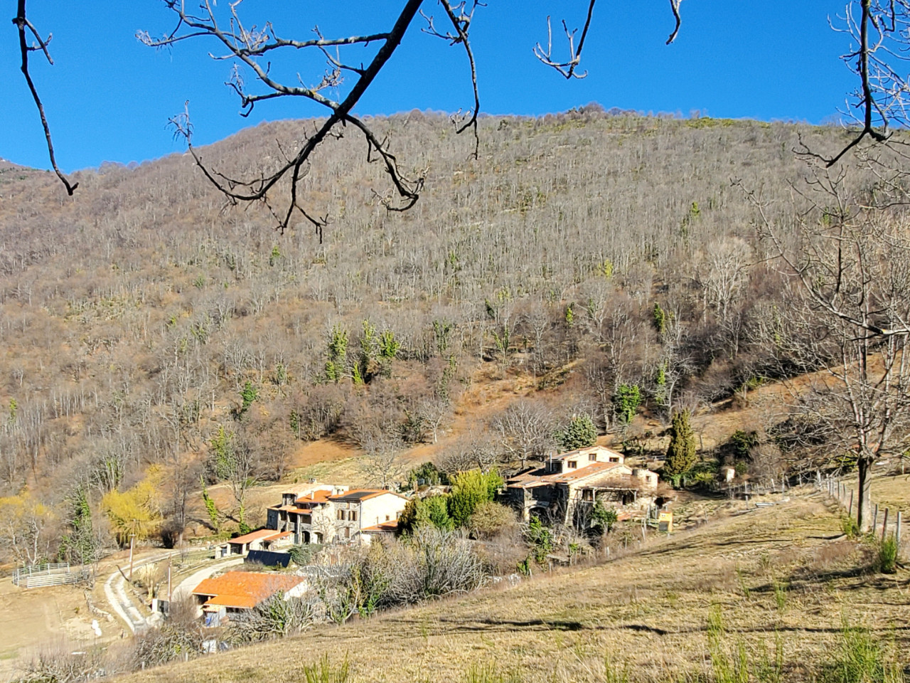 GreenGo Gîte Occitanie En forêt