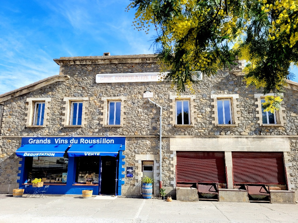 Logement GreenGo: Dans une cave de vignerons