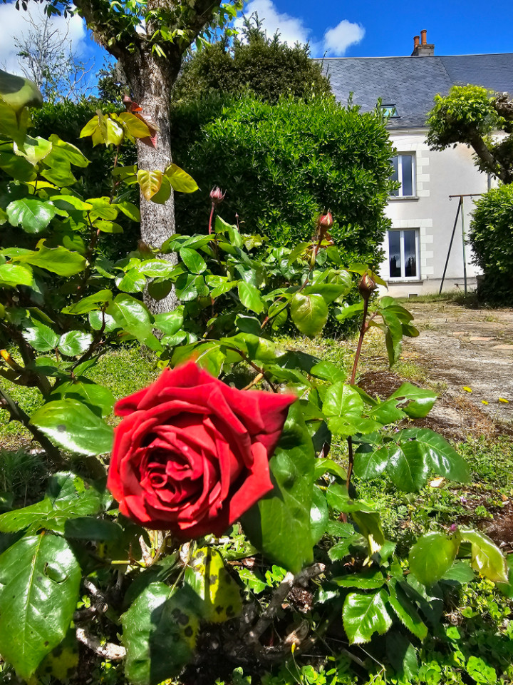 La maison du Bourg Joly