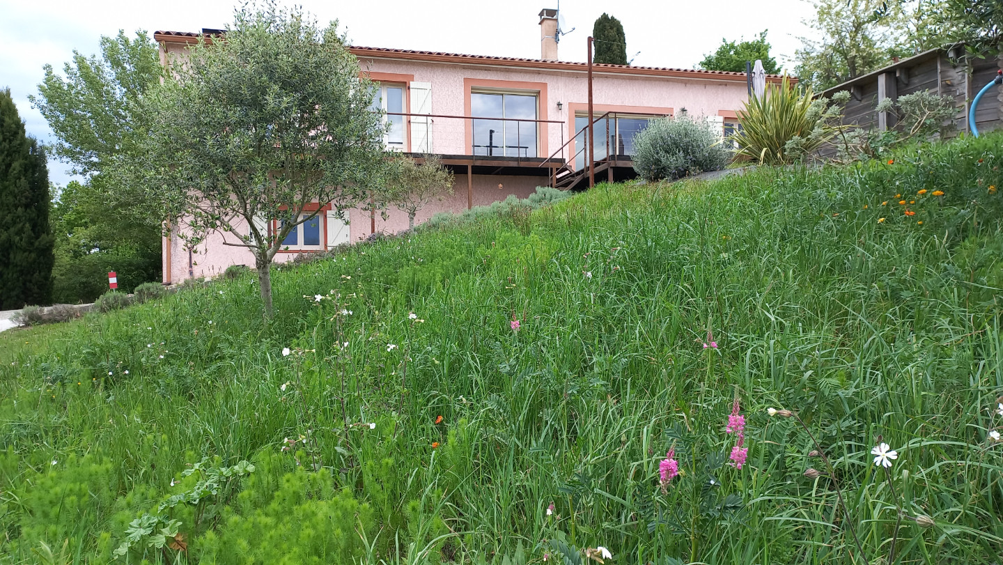 GreenGo Location Occitanie Musique