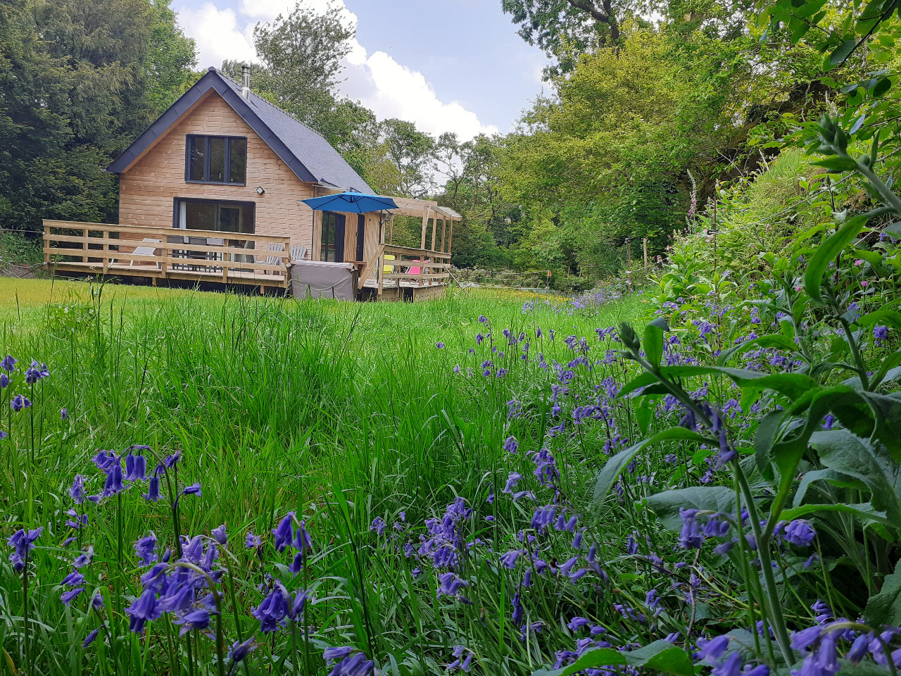 Ecolodge des Monts d'Arrée et spa en pleine forêt