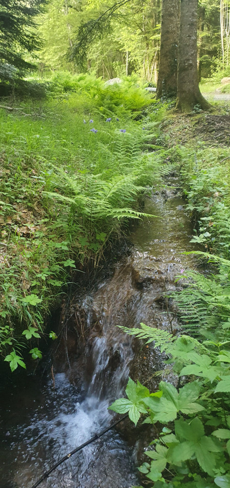 GreenGo location vacances écoresponsables