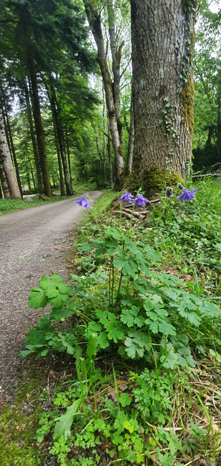 Aude À la campagne