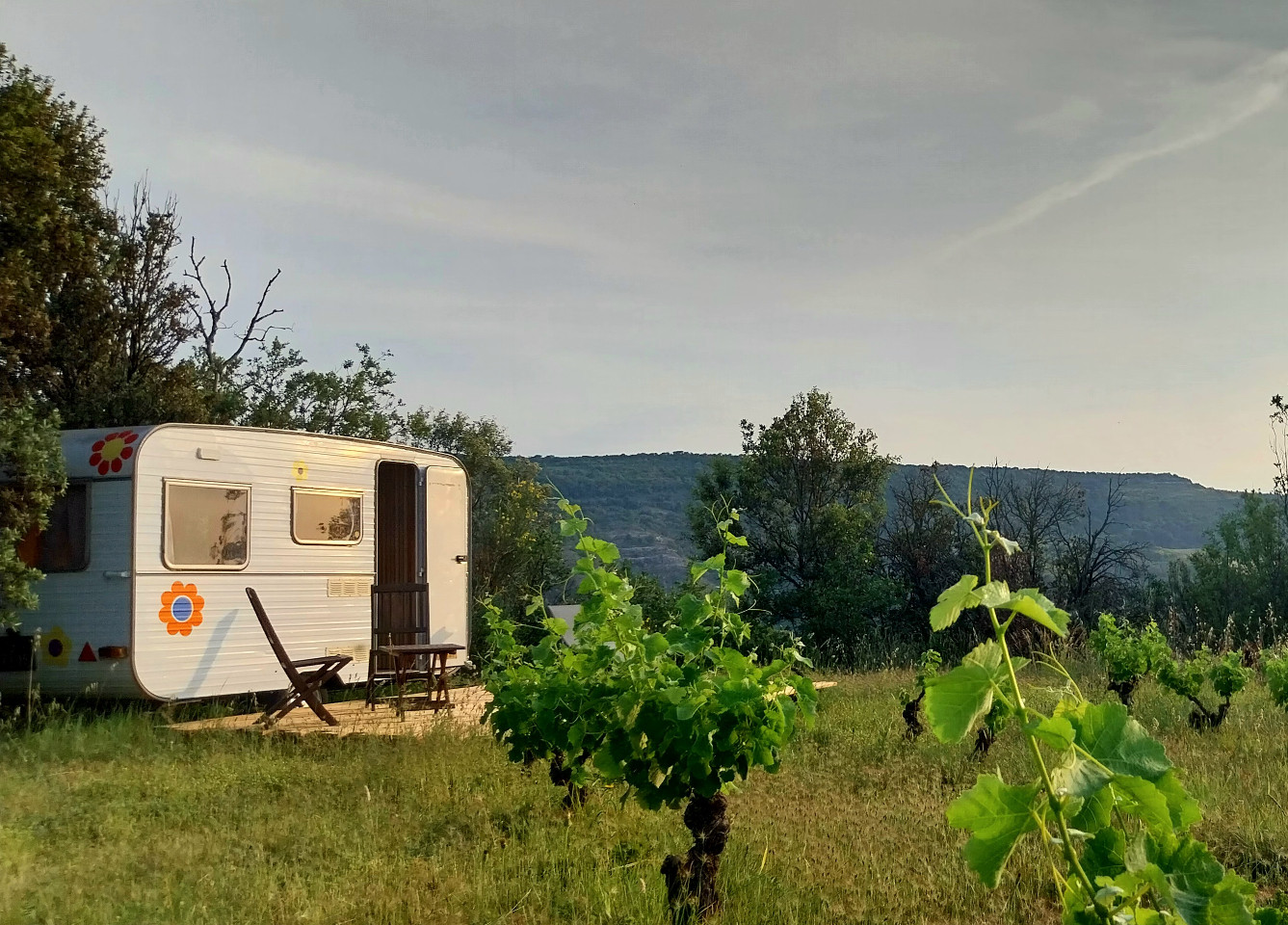 GreenGo location vacances écoresponsables