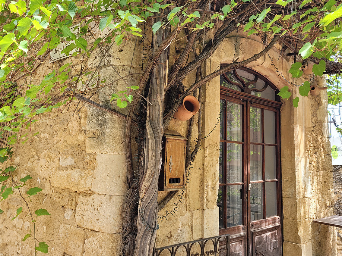 GreenGo location vacances écoresponsables