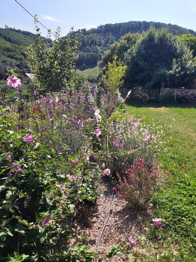 GreenGo location vacances écoresponsables