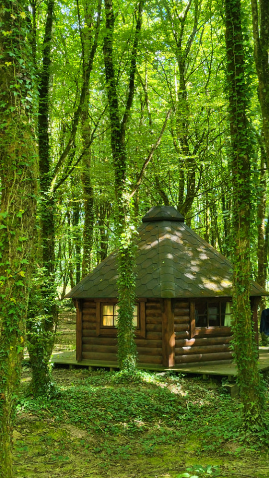 orderedImageAlt_accommodation_default