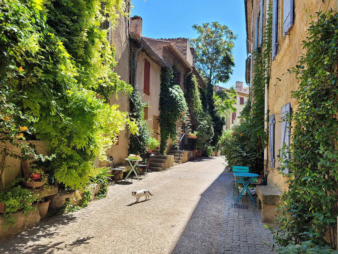 Vaucluse Yoga