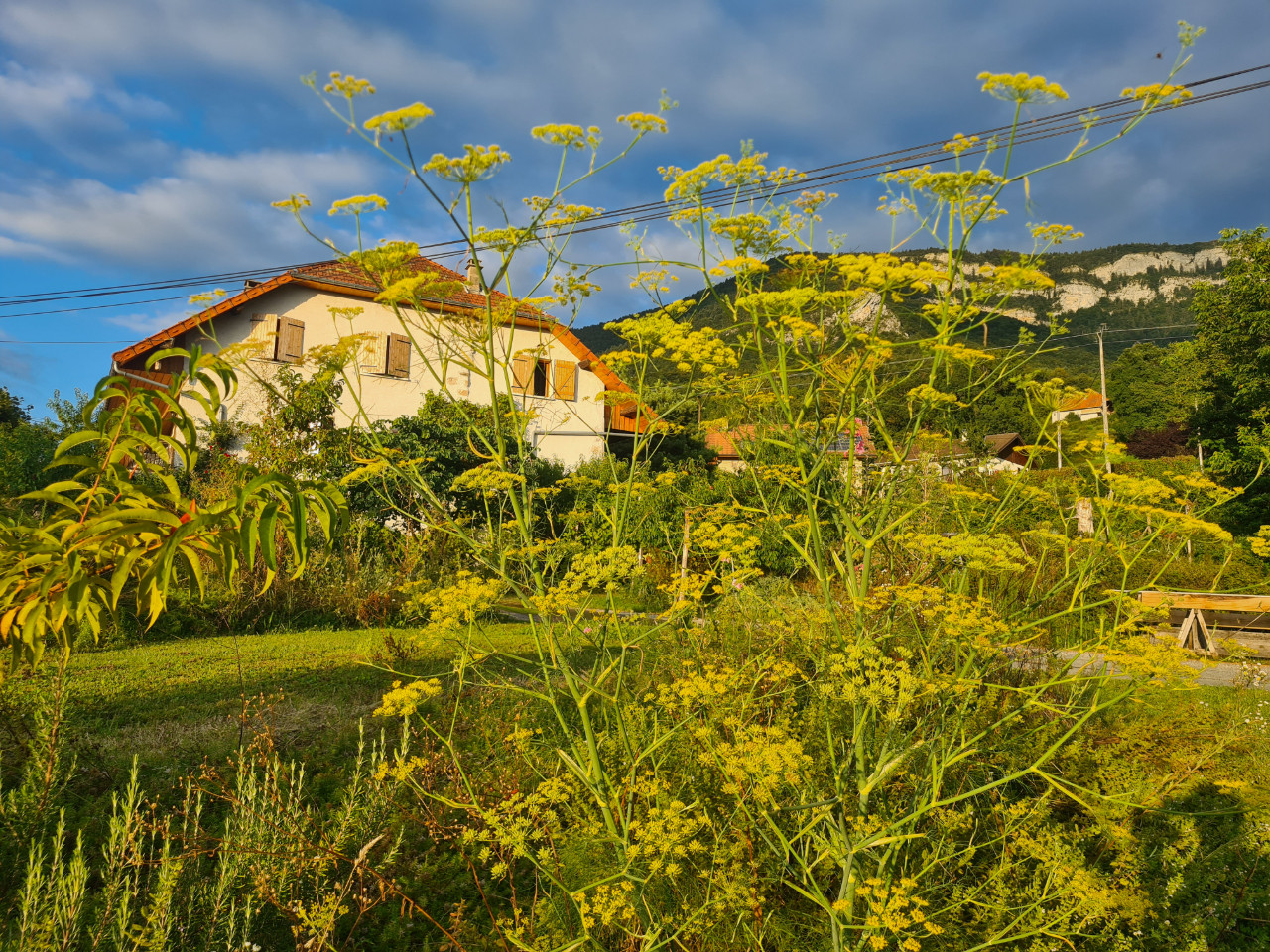orderedImageAlt_accommodation_default