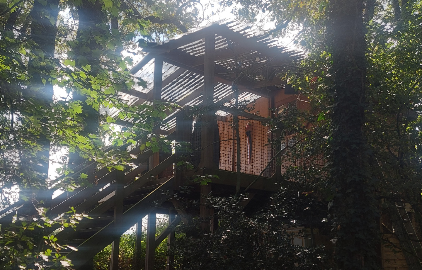 orderedImageAlt_accommodation_default