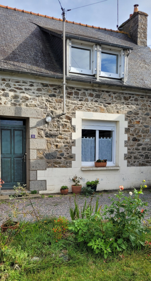L'Agapanthe