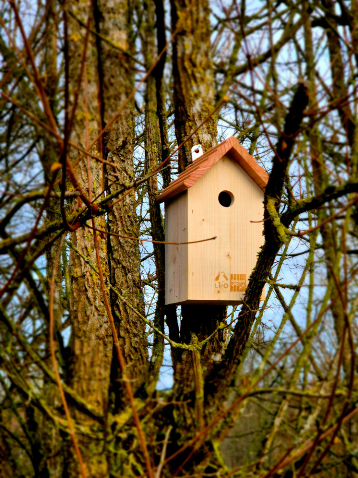 GreenGo location vacances écoresponsables