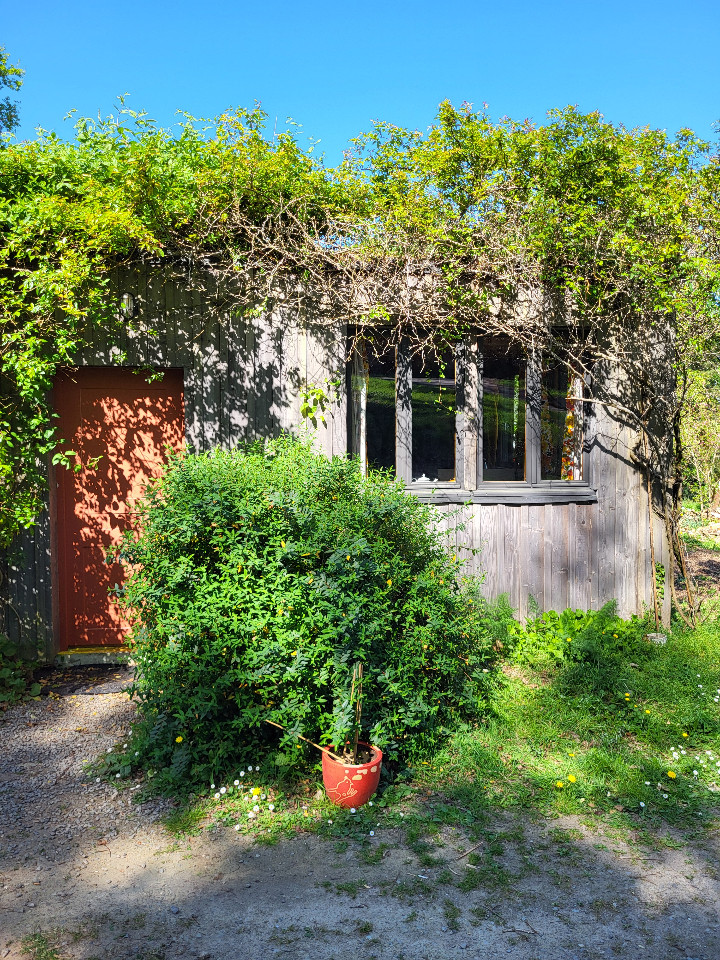 Hôte GreenGo: La cabane dans les bois