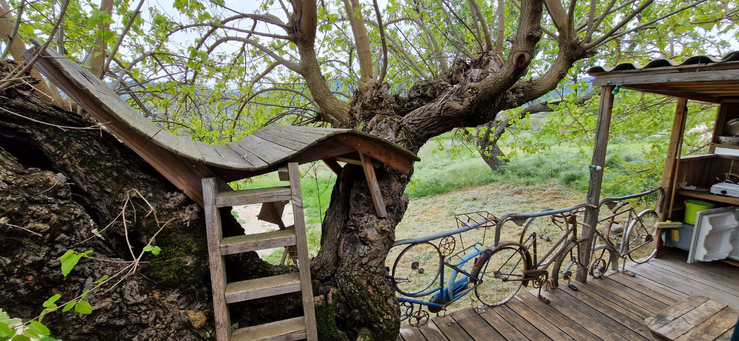 GreenGo location vacances écoresponsables
