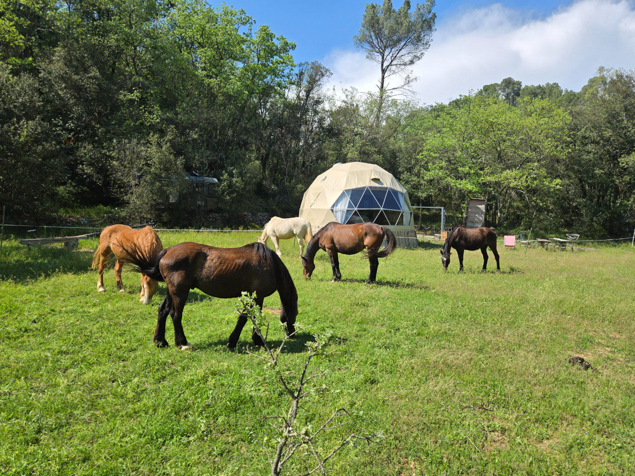 Hôte GreenGo: La cabane aux chevaux