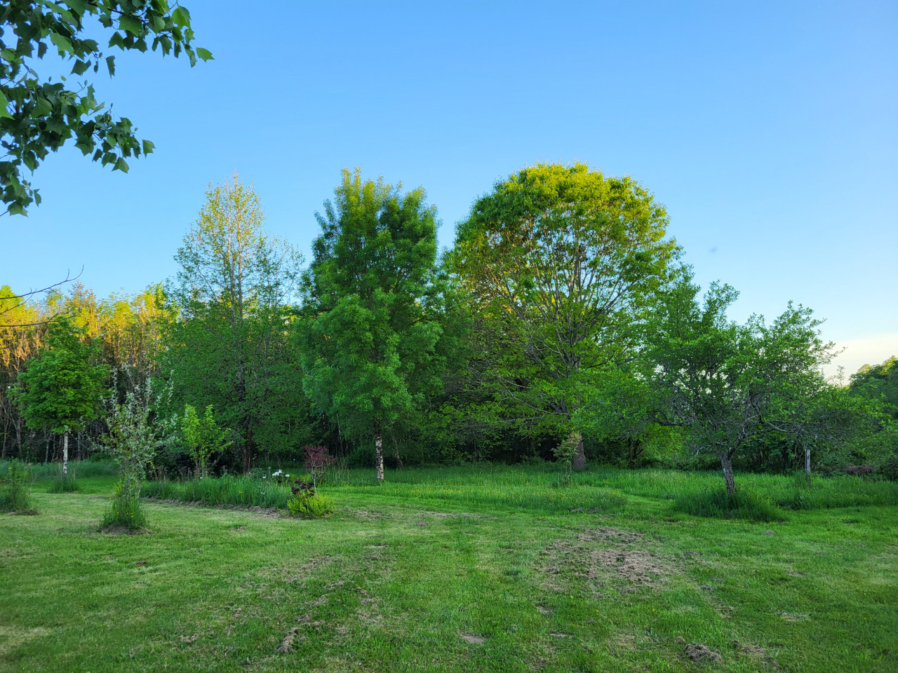 Charente À la campagne
