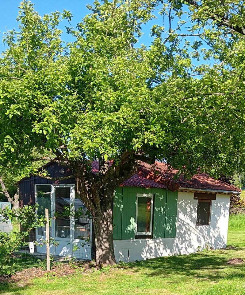 GreenGo Tiny nature house