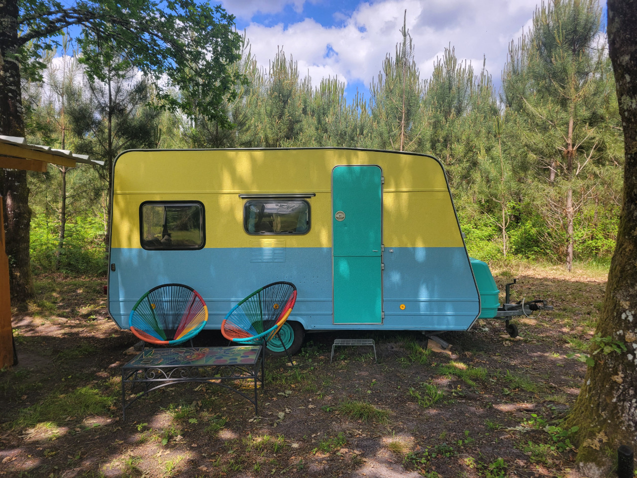 Évasion nature: caravane cosy au milieu des pins