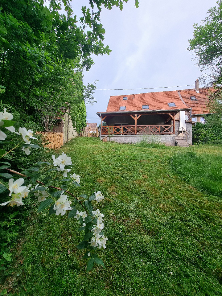 GreenGo Nouveau Gîte proche de la Petite Pierre, le Geai Bleu. Terrasse couverte et jardin
