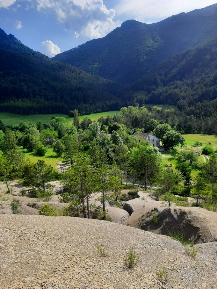 Gîte Zen