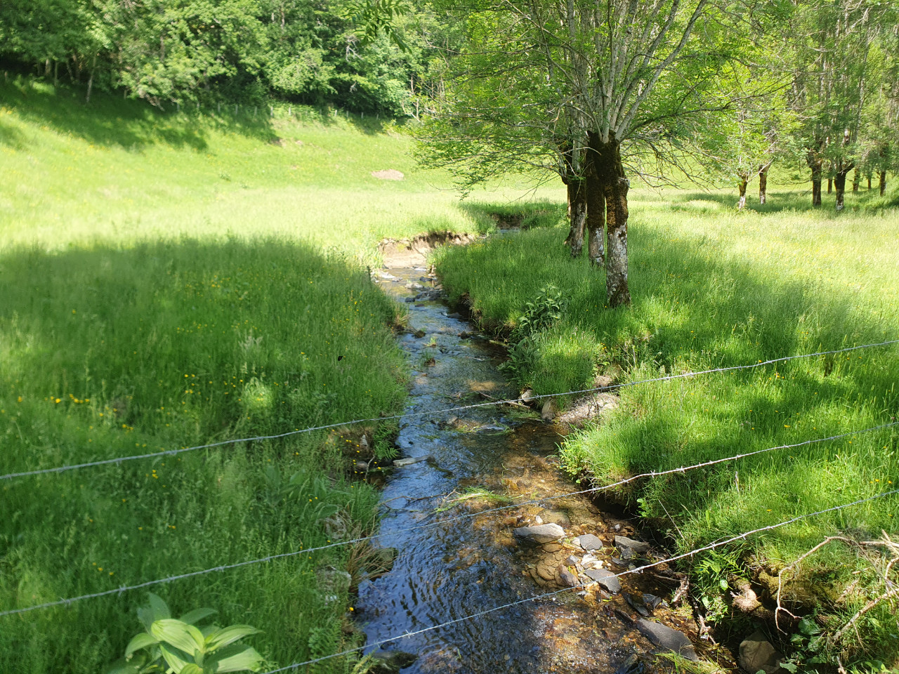 Location Aveyron Rustique