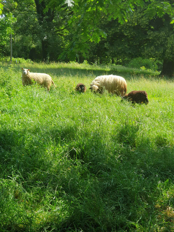 Haute-Vienne À la campagne