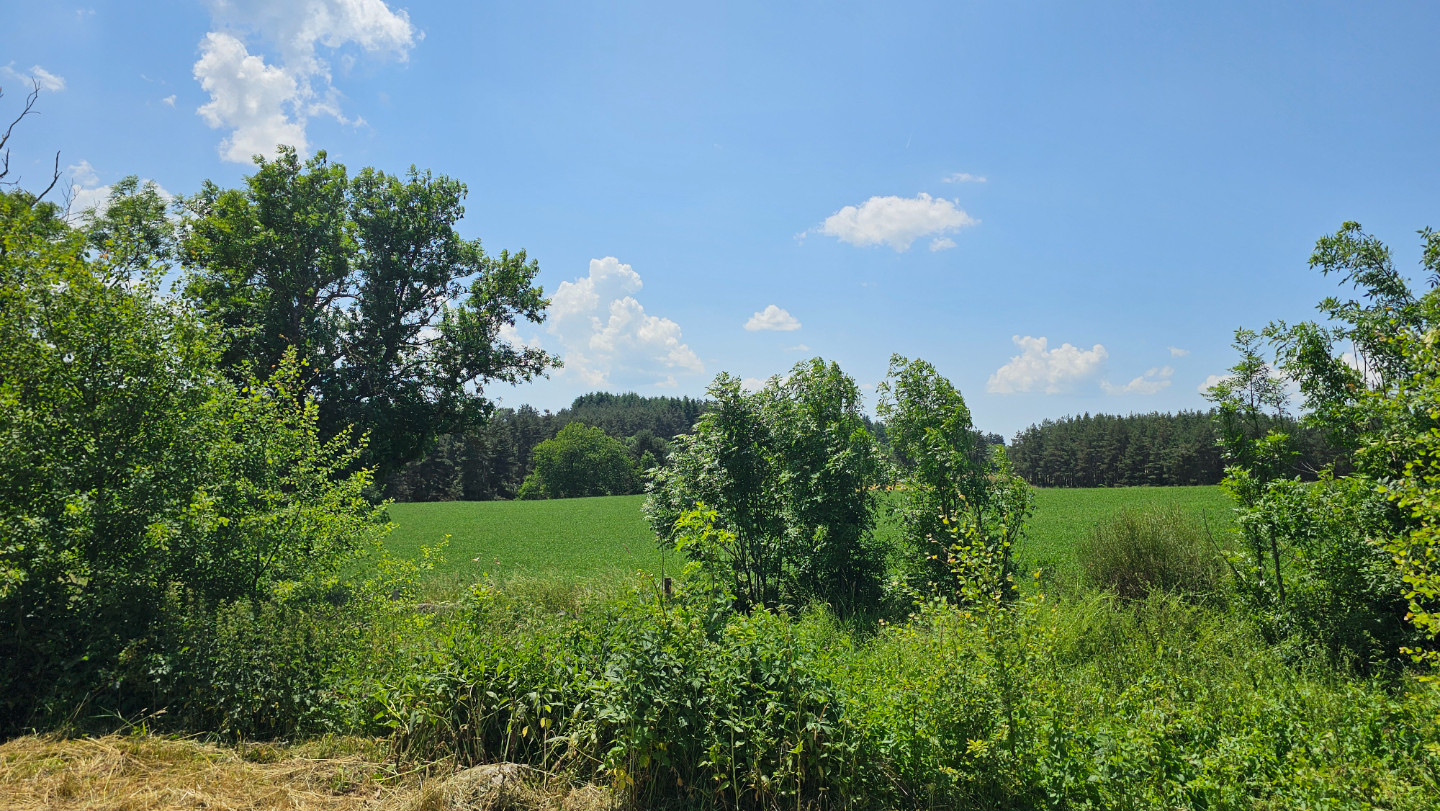 GreenGo Location Auvergne-Rhône-Alpes Évasion