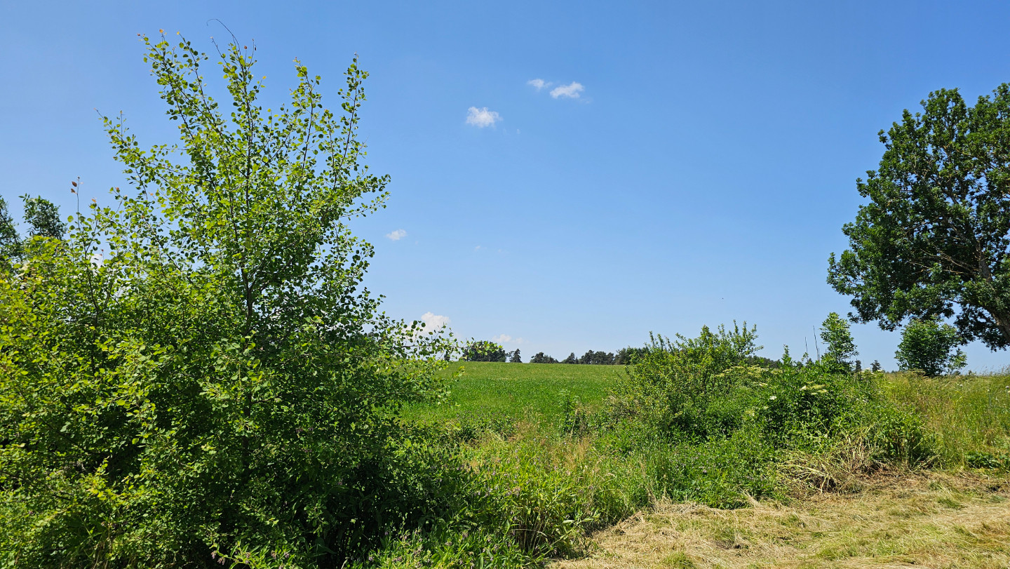 GreenGo location vacances écoresponsables