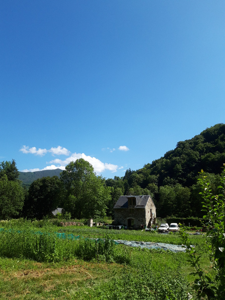 Nid douillet à la Ferme des Légumes et des Rêves